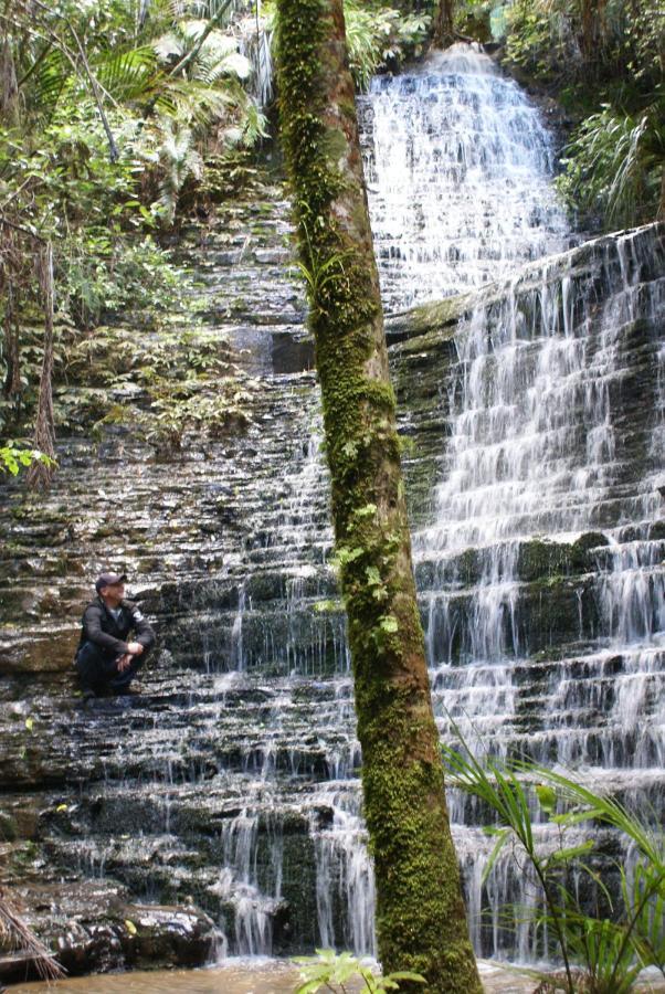 Woodhouse Mountain Lodge Warkworth Luaran gambar